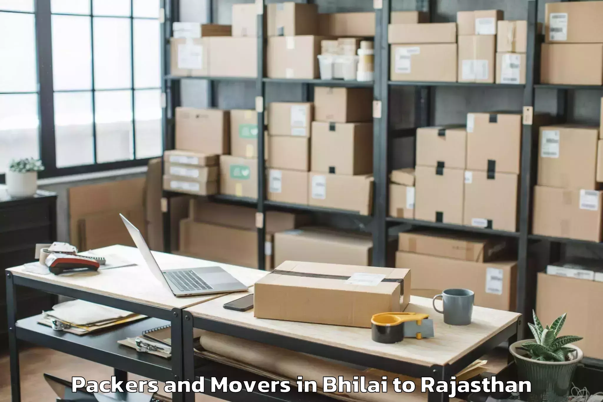 Affordable Bhilai to Dabok Airport Udr Packers And Movers